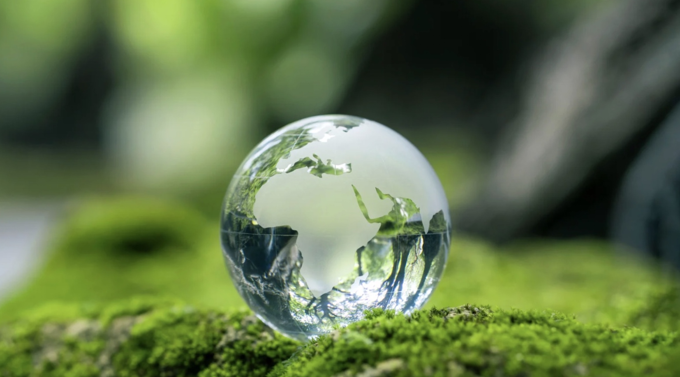 Cumplimiento Ambiental